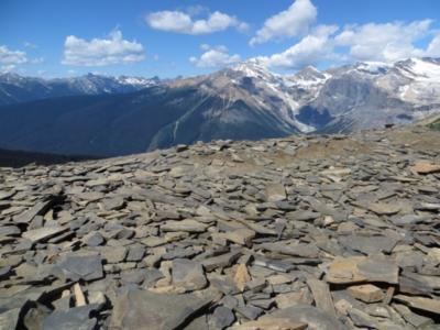 Burgess Shale Fossil Beds