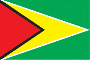 flag of Guyana