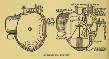 drawing of the Turtle