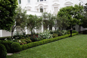 White House Rose Garden