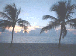 Fort Lauderdale's beach at sunset