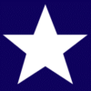 Texas flag