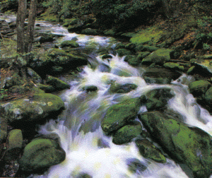 Roaring Fork Creek