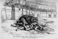 The Tammany Tiger Loose