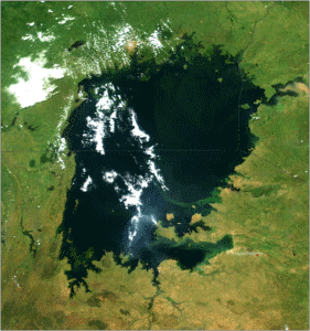 satellite view of Lake Victoria