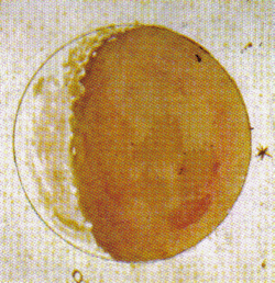 one of Galileo's views of the Moon