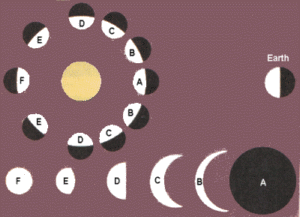 the phases of Venus as seen from Earth