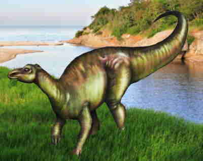 Edmontosaurus annectens