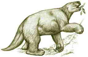 artist's rendering of a Harlan's Ground Sloth