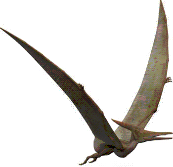 Pterosaur