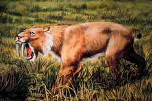 Smilodon