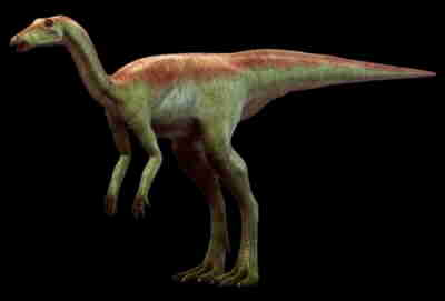 Thescelosaurus neglectus