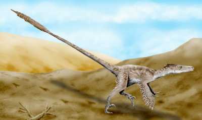 artist's depiction of a velociraptor