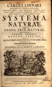 frontispiece of Systema Natura