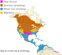 distribution of the Blue-Winged Teal