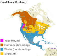 distribution of the Lesser Scaup