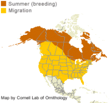 distribution of the Red-Breasted Merganser in North America