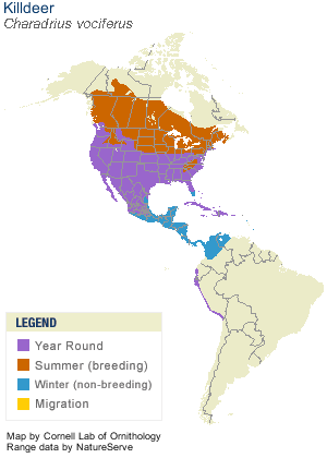 distribution of Killdeer