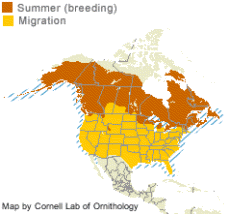 range of the Common Loon in North America