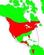 range of the American Coot