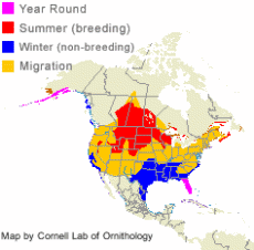 distribution of the Double-Crested Cormorant