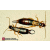 European Earwig (Forficula auricularia)