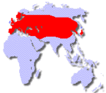 range of the Eurasian Badger