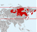 distribution of the sable