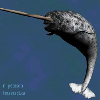 Narwhal