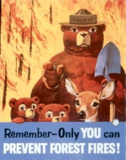 Remember -- Only You Can Prevent Forest Fires