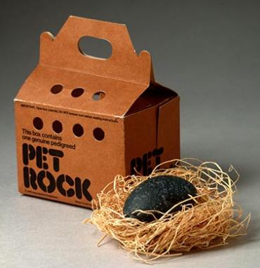 pet rock and carrier