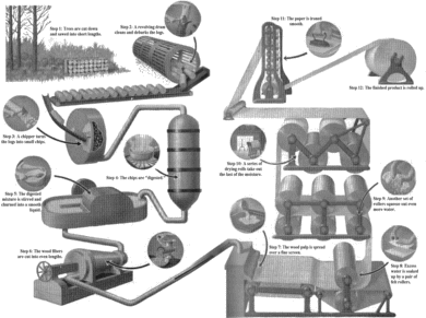 a simplified view of the papermaking process