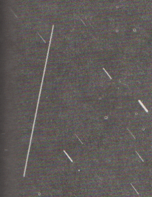 photograph of Sputnik II in orbit